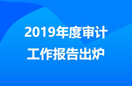 2019年度审计工作报告出炉.jpg