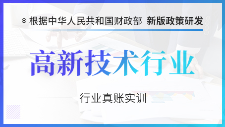 高新技术软件开发行业真账实训