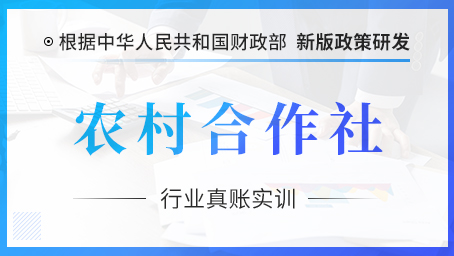 农村合作社行业会计真账实操