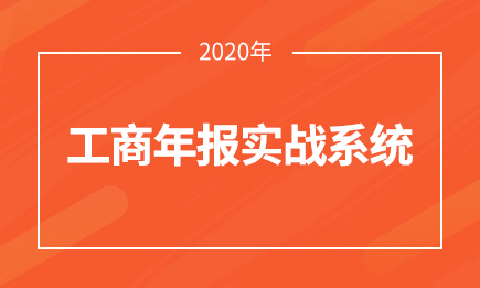 工商年报实战系统