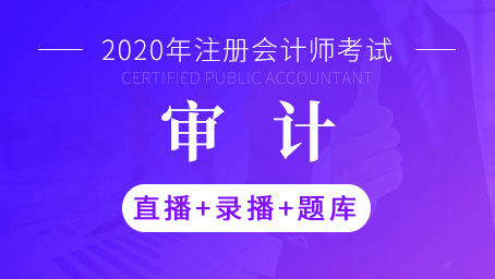 2020年注册会计师-审计（直播+录播+题库）