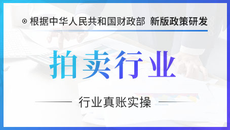 拍卖行业真账实操