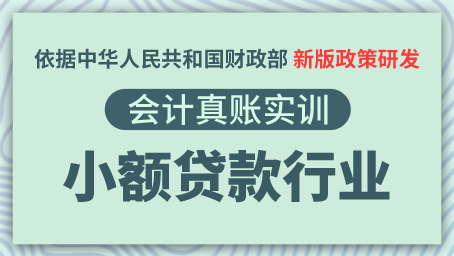 小额贷款公司真账实训