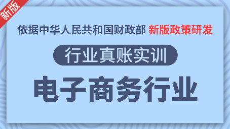 电子商务行业真账实训