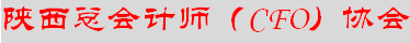 陕西总会计师协会