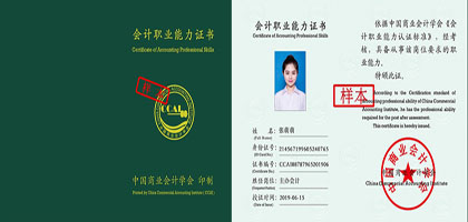 会计从业财税实操能力证书