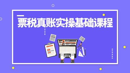 票税真账实操基础课程