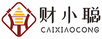 财小聪财税