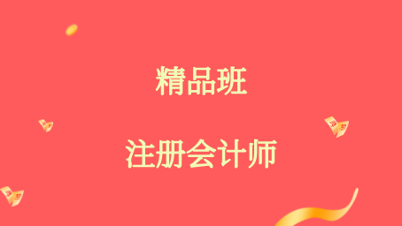 2025年注册会计师综合阶段精品班