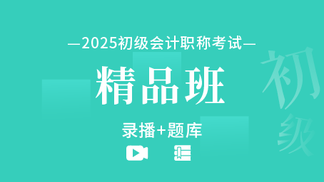 2025年初级会计职称备考精品班（录播+题库）