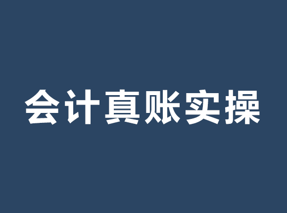 会计实操-7大系统（工商年报、个税、百旺开票、进项勾选、纳税申报、汇算清缴、建行网银）