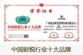 中国财税行业十大品牌