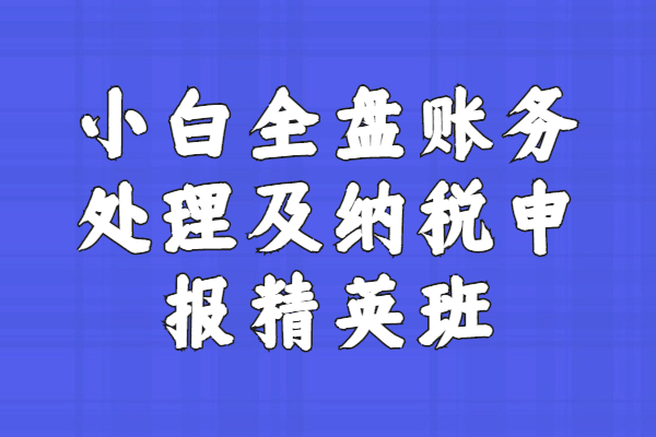 小白全盘账务处理及纳税申报精英班（送税筹）