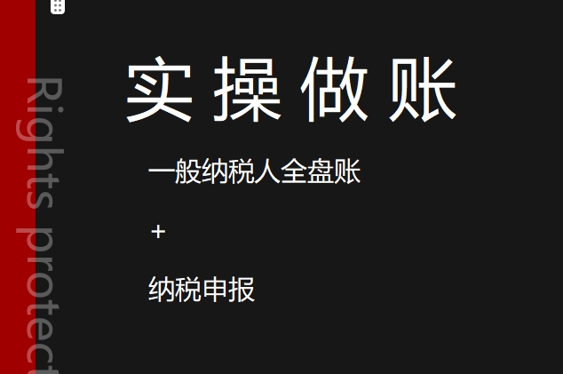 2025年（最新）一般纳税人全盘账务处理与纳税申报